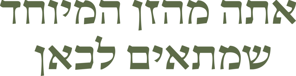 אתה מהזן המיוחד שמתאים לכאן